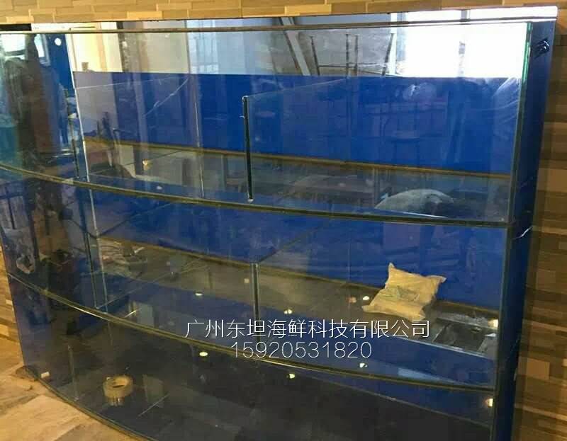 广州科学城海鲜池定制-制冷海鲜池-广州海鲜暂养池观光池
