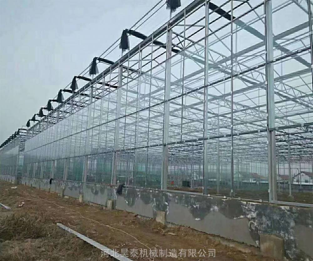 玻璃连栋温室 智能温室大棚 大棚厂家直销