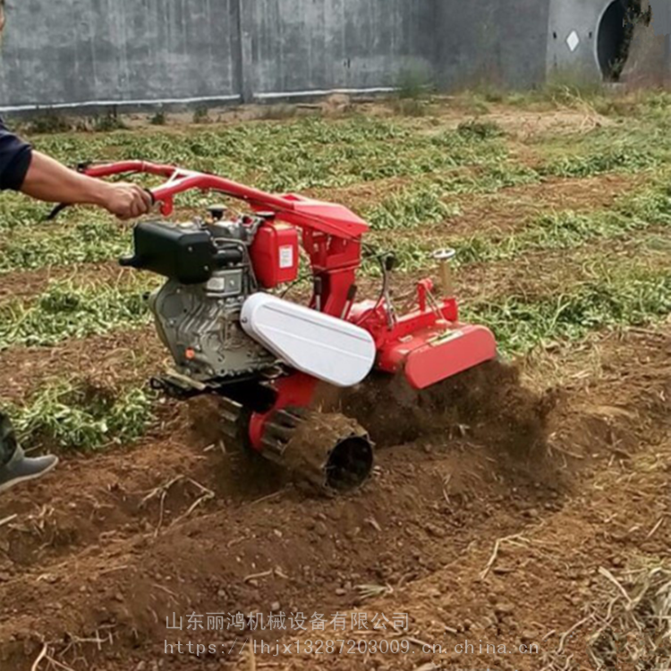 丽鸿电启动柴油开沟起垄机 小型手扶打垄机 土豆种植田园管理机价格