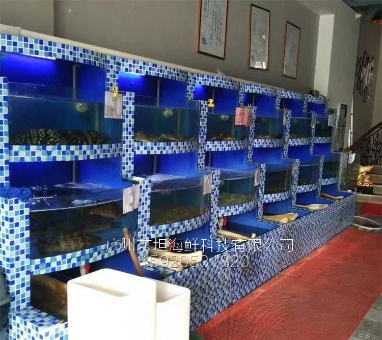 广州龙溪海鲜池效果图-海鲜池过滤-广州不锈钢海鲜池