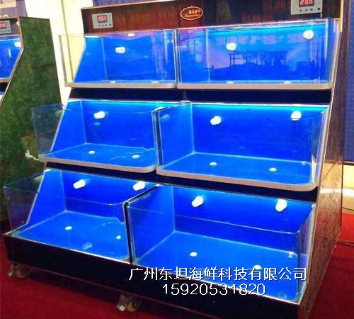 白云永平海鲜鱼池制作费用-海鲜塑料池箱-广州可海鲜池安装
