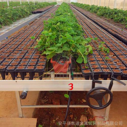 安平县航迪苗床网厂是一家专业从事  潮汐苗床  移动苗床 种植育苗床