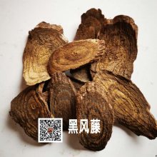 黑风藤价格/产地/功效/黑风藤哪里买得到