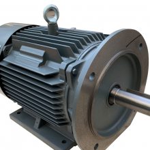 西门子贝得电机1tl00011ca055kw卧式立式380v变频可加编码器