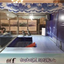 河北省三河海水魚缸展覽