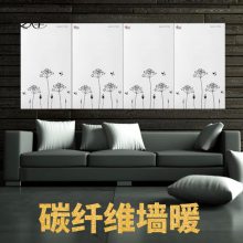 暖烨碳纤维墙暖代理招商 家庭用壁挂式碳纤维墙暖