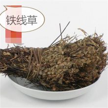 野生铁线草批发价格 蟋蟀草的功效和配方