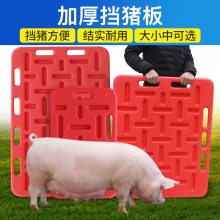 挡猪板 加厚隔猪板 赶猪板 猪用挡猪板 拦猪板 农盛乐