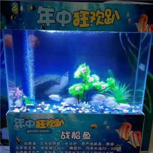 浙江省金華海洋魚缸展覽觀賞海獅表演