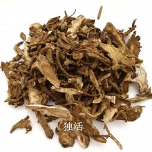 独活用法用量/川独活功能主治/肉独活药用价值