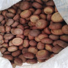 补肾果多少钱一公斤 产地直发