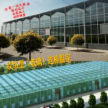 蔬菜育苗大棚玻璃连栋温室智能棚设计建造