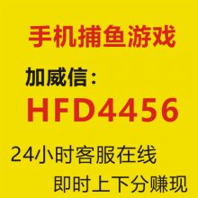 24小时捕鱼千炮捕鱼加威PPA1156