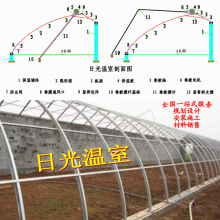 日光温室大棚椭圆管几字钢暖棚薄膜蔬菜大棚昱泰温室公司设计生产建设