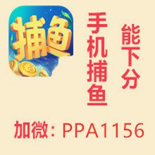 24小时捕鱼千炮捕鱼加威PPA1156