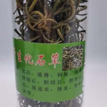 【***化石草哪里有卖多少钱一斤图片】***化石草