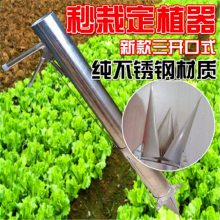 栽苗器 全自动移栽种苗移苗定植秧苗穴盘播种点播种菜 栽苗器