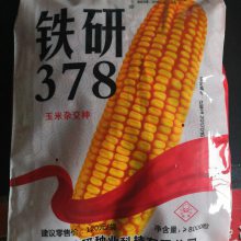 铁研378-新审定品种