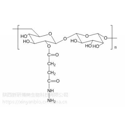 氨基修饰葡聚糖|dextran-nh2