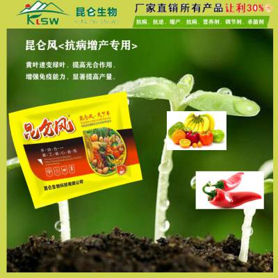 优质壮苗叶面肥,河南昆仑生物  产品标签  |优质抗病叶面肥优质生根