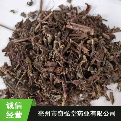 中药猫须草_奇弘堂猫须草粉_亳州市药用猫须草出售