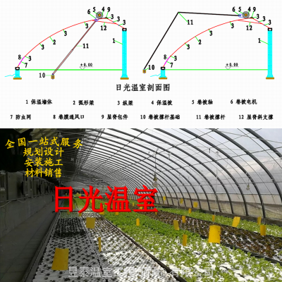 日光温室暖棚薄膜温室大棚蔬菜种植大棚椭圆管大棚昱泰温室公司设计