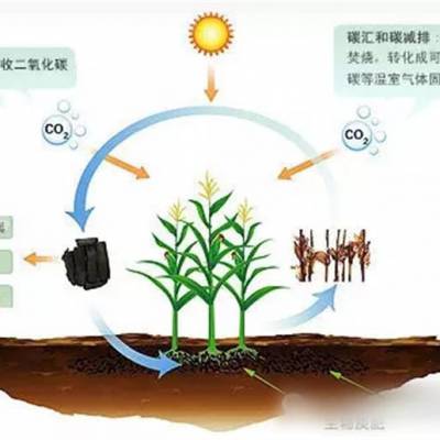 为什么生物炭中微量元素微生物菌剂能让种植户获得惊人的丰收?