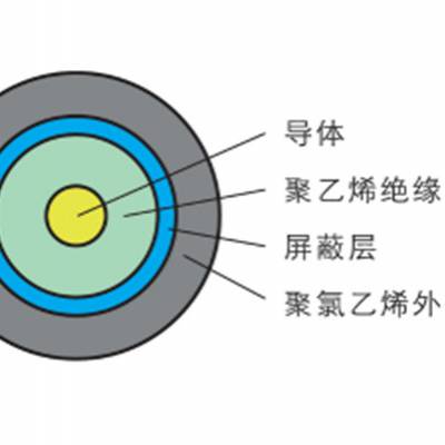 上海同轴电缆概况