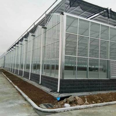 建设定制 智能温室大棚 智能玻璃温室 连栋温室大棚