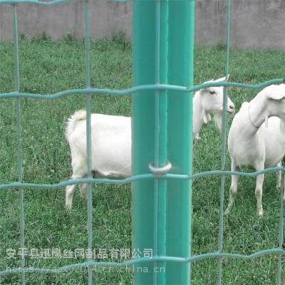 羊圈围栏网a梅花鹿养殖场围网a迅鹰野猪养殖场围网厂家