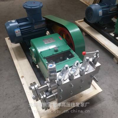 水泵高压 高压泵生产厂家 高压泵定制 厂商~三柱塞高压泵~防爆高压泵