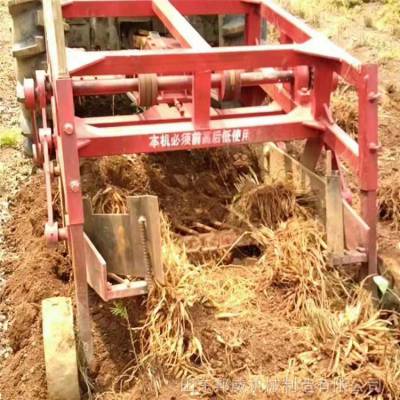 多功能药材收获机黄芪当归丹参中药材收割机家用小型挖药机