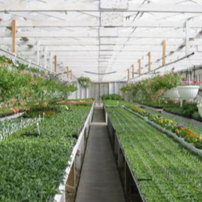 新型温室大棚造价 新型温室蔬菜大棚图片 新型智能温室大棚