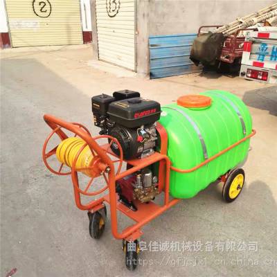 农用汽油果树高压打药机 园林拉管手推喷药机 高压柱塞水泵喷雾器