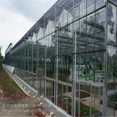 大棚建设 玻璃智能温室 花卉温室建设