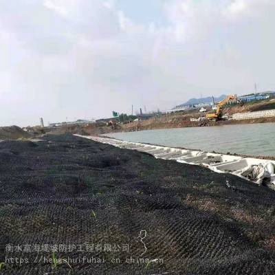 安平厂家直销水土保护毯7020 聚酰胺3d柔性水土保护毯 水工保护毯