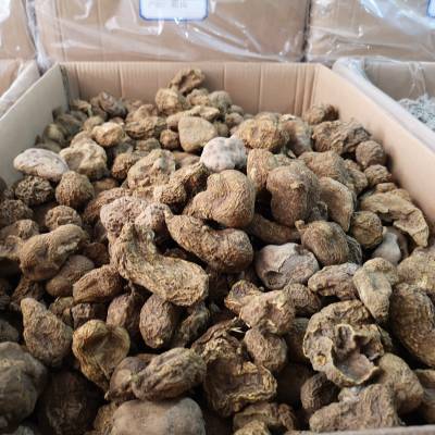 野生金果榄价格多少钱一斤