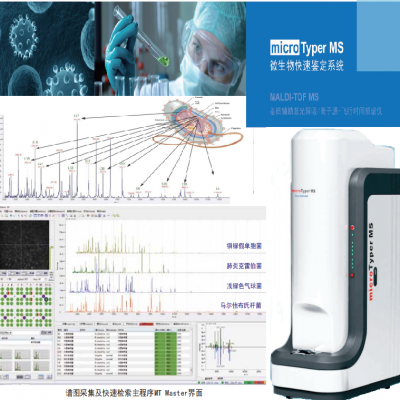 maldi-tof检测仪微生物快速鉴定系统病毒检测系统新冠病毒研究仪器