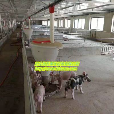 供应 猪场自动饲喂设备 养猪设备自动化料线 养殖母猪料线配件