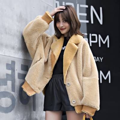 款颗粒绒宽松皮毛一体19颗粒绒大衣皮草外套厂家特价颗粒绒 女装批发