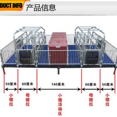 厂家直供 双体母猪产床 新型加长加宽母猪产床母猪定位栏 仔猪保育床