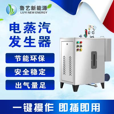 鲁艺 电蒸汽发生器12kw-72kw小型电加热蒸汽锅炉全自动蒸汽机