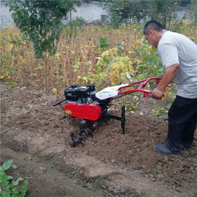 家用整地旋耕机 批发圣鲁小型微耕机 手扶式旋地翻土机
