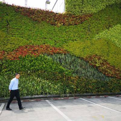 山西 太原 景观工程项目 运城仿真绿植墙施工,仿真植物墙,垂直绿化