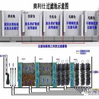 奥利仕(图)-鱼池过滤器-湖北鱼池过滤