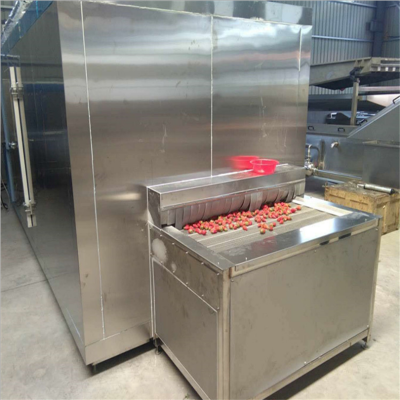 草莓流态化速冻机 颗粒制品速冻生产线