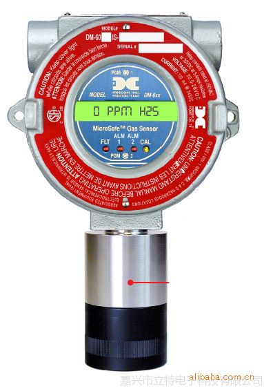 供应DM-600IS防爆有毒气体检测仪探测器