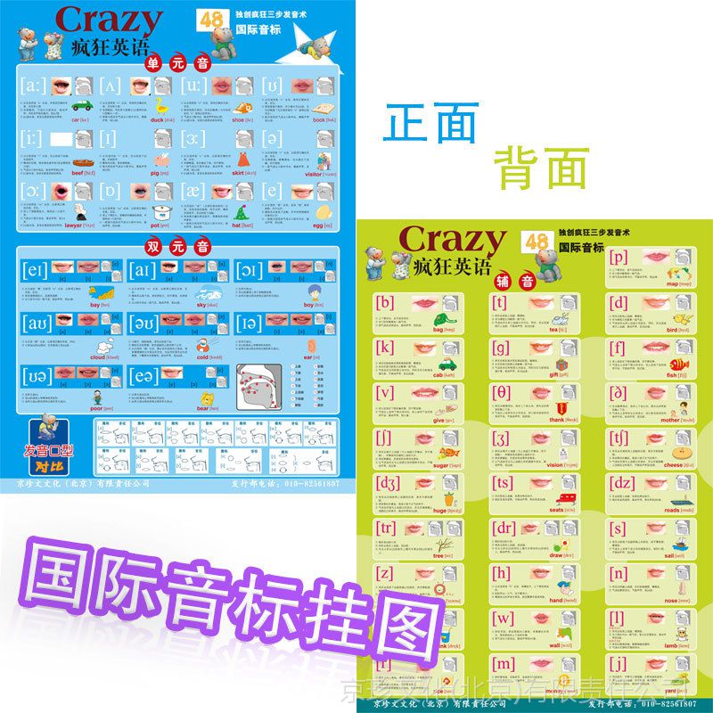 【英语 国际音标 教学挂图 专业挂图 双面 独创