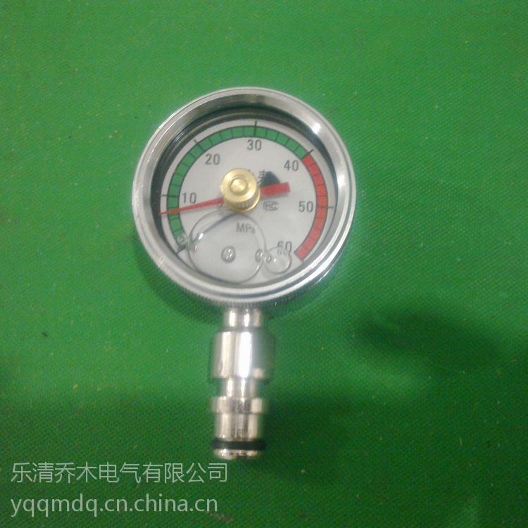 乐清乔木电气供应矿用压力表双针耐震压力表/BZY-60/60mm/80MPa/KJ10