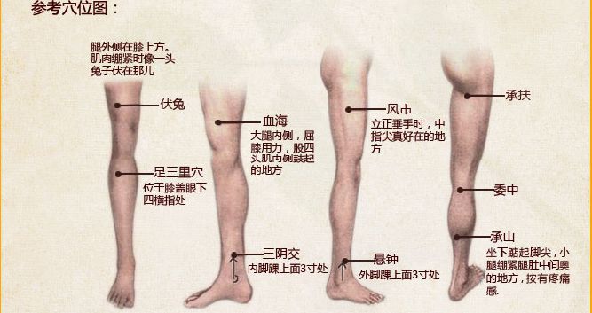 三陰交穴按摩器足三里承山穴按摩點揉揉捏按摩保健